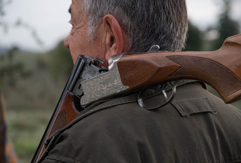 hunter 7523765 1280 - Quimper Brest